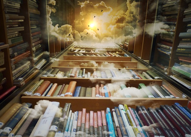 Shelves filled with books that seem to extend to the skies.