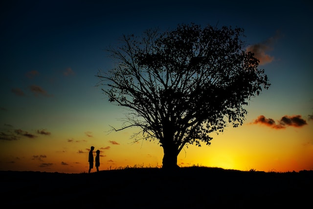 A couple standing on a hill, beside a tree with the setting sun in the background