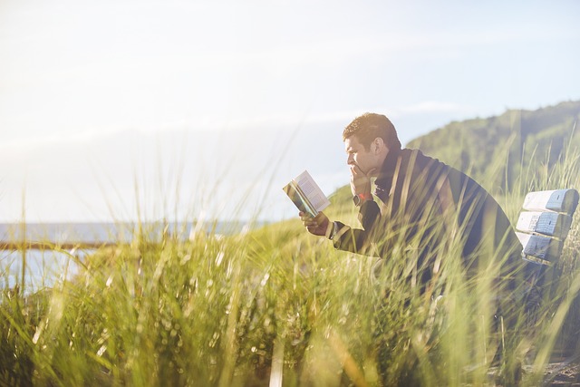A man reads a book while sat on a bench in a grassy field