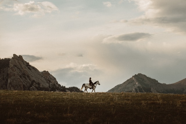 A lone horse and rider in the fields, with the mountain ranges in the background