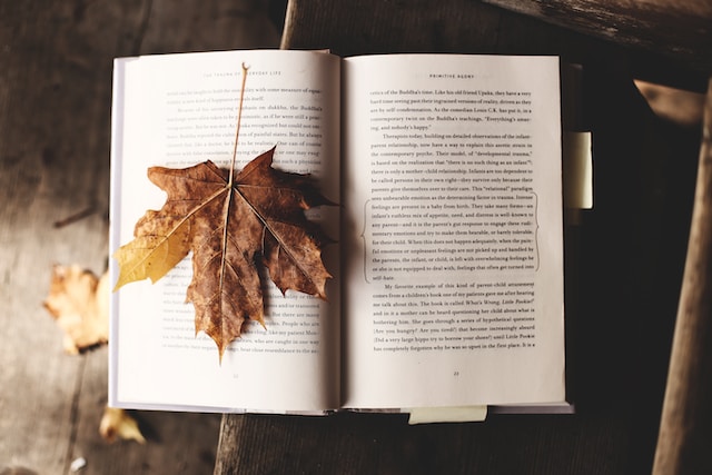 An open book with a dried maple leaf on top