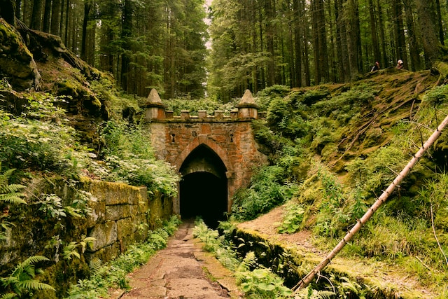 Ruins underneath a forest